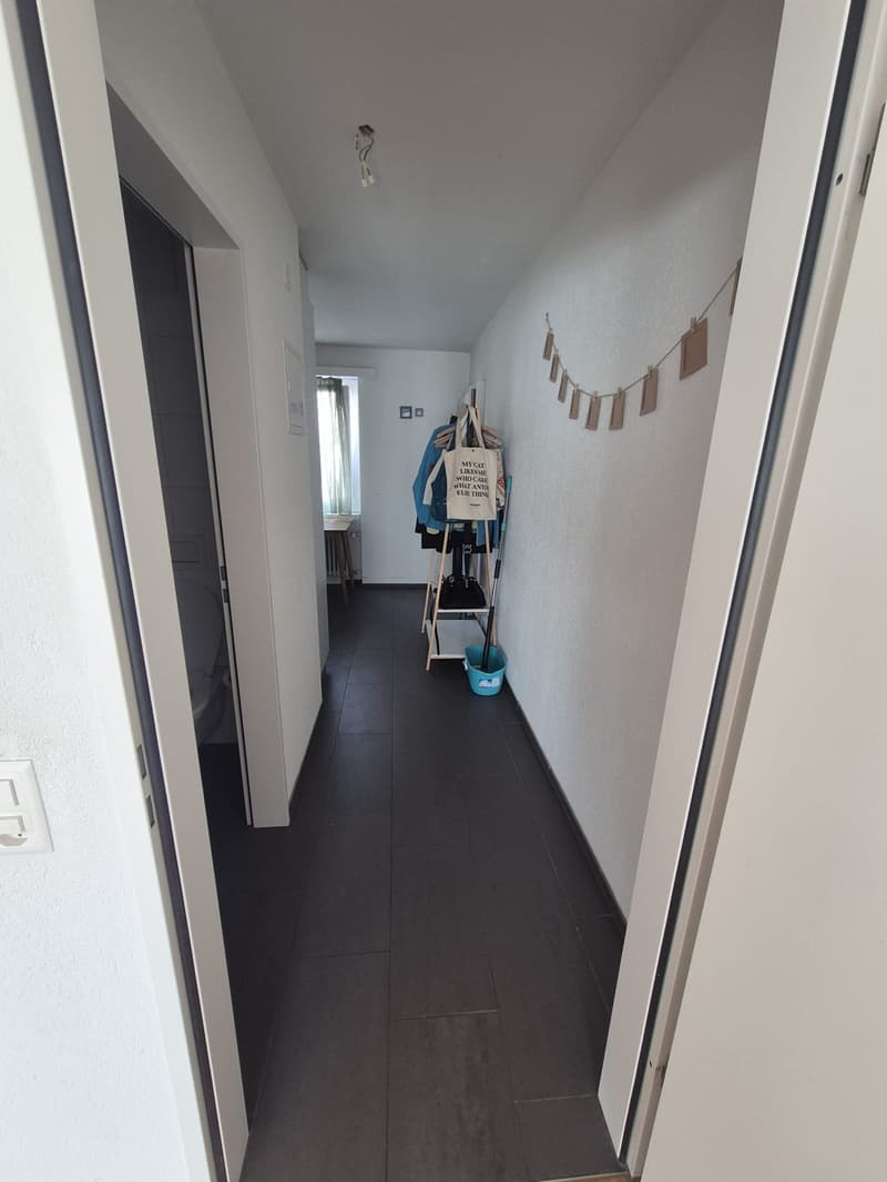 1,5 Room Appartament (3)