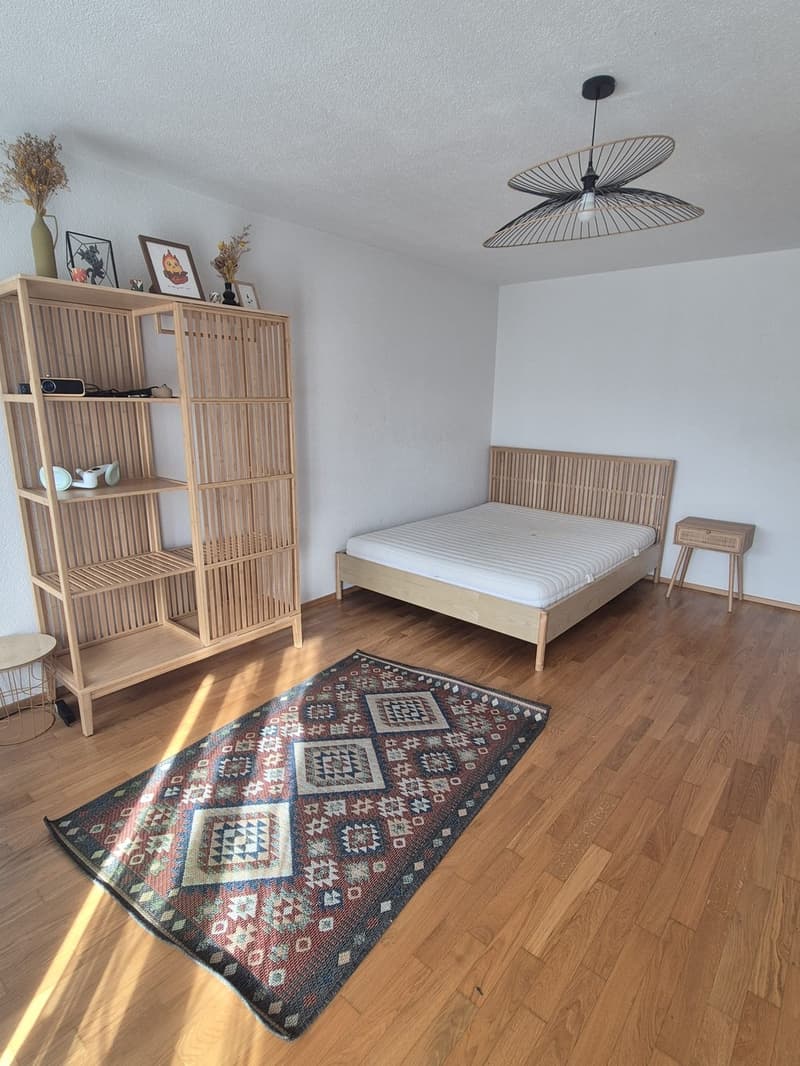 1,5 Room Appartament (4)