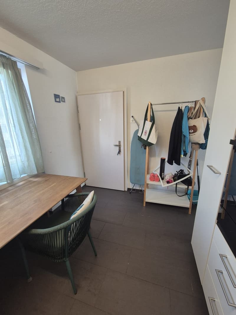 1,5 Room Appartament (12)
