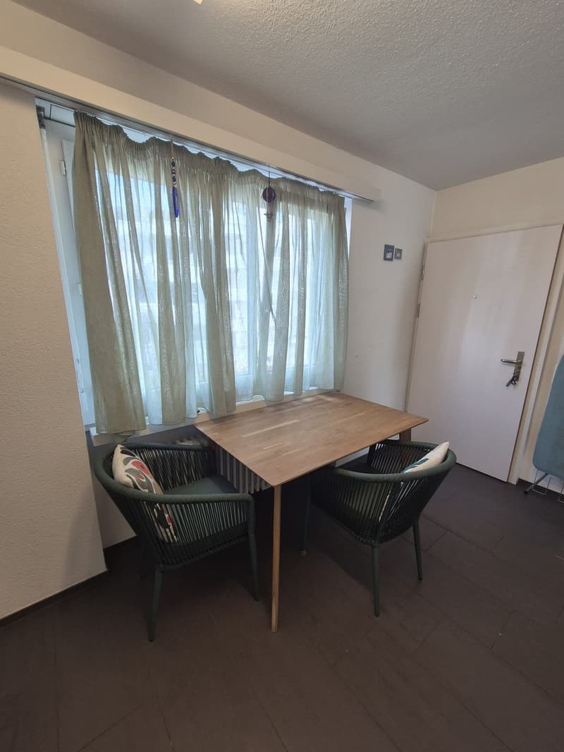 1,5 Room Appartament (2)