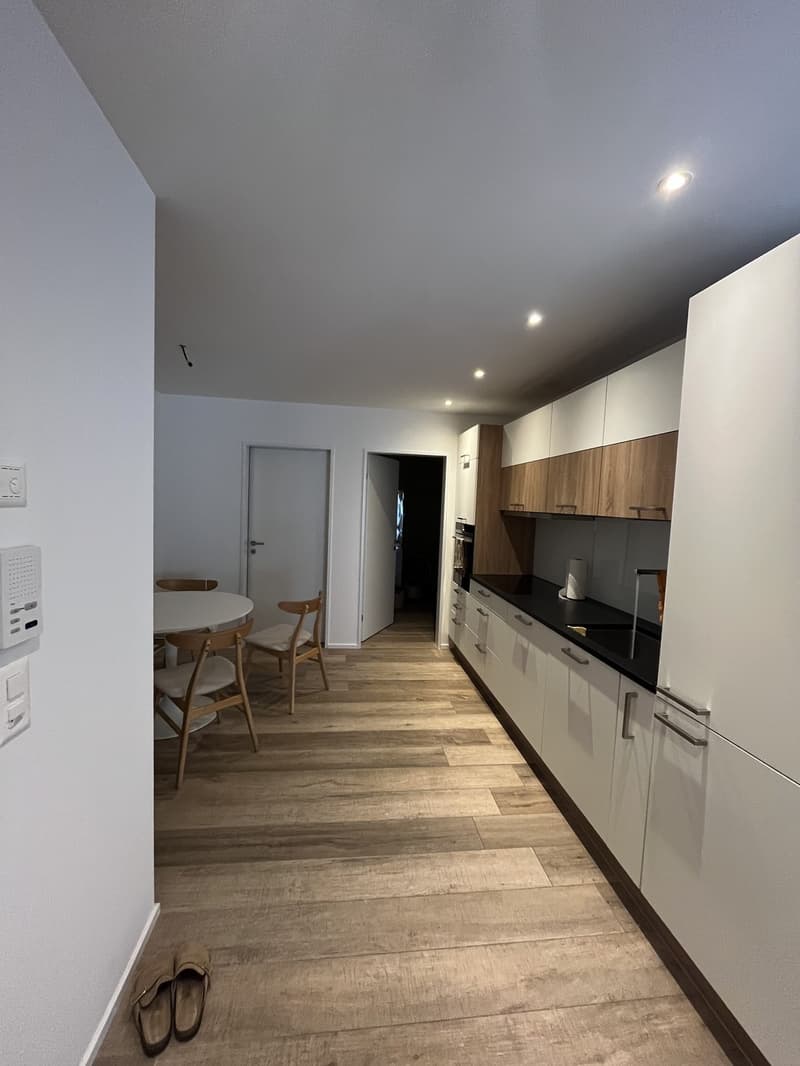 Grosse 1,5 Zimmer Wohnung (4)