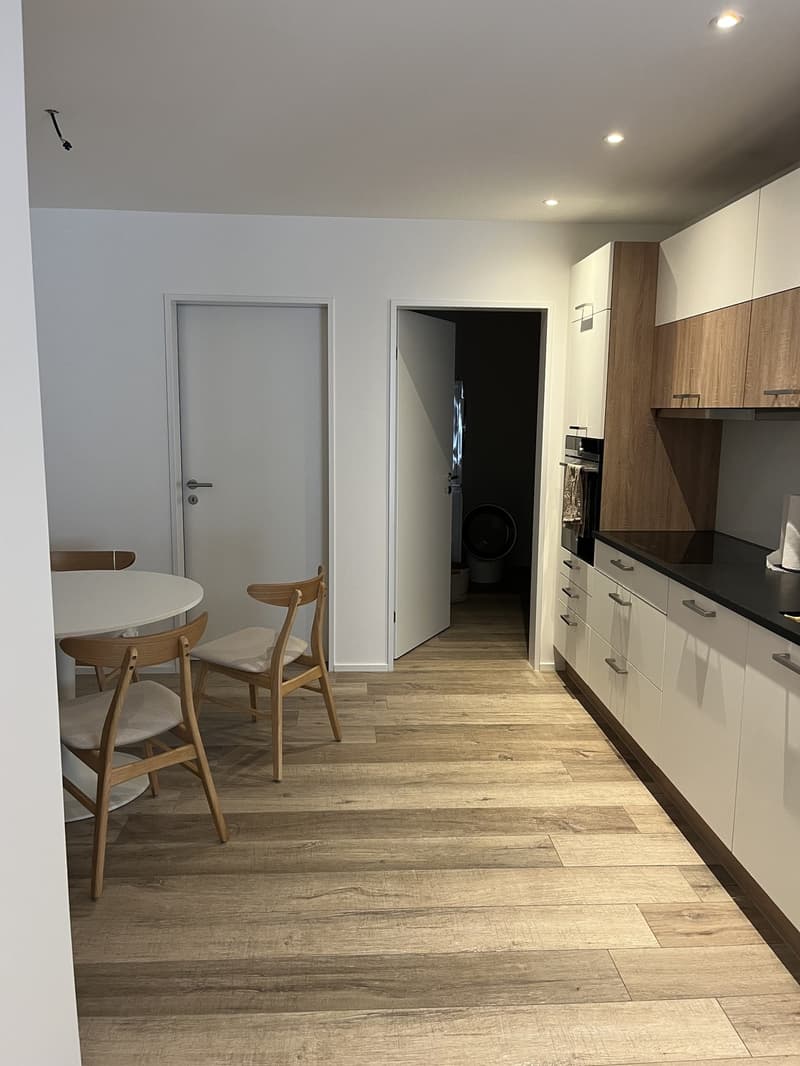 Grosse 1,5 Zimmer Wohnung (7)