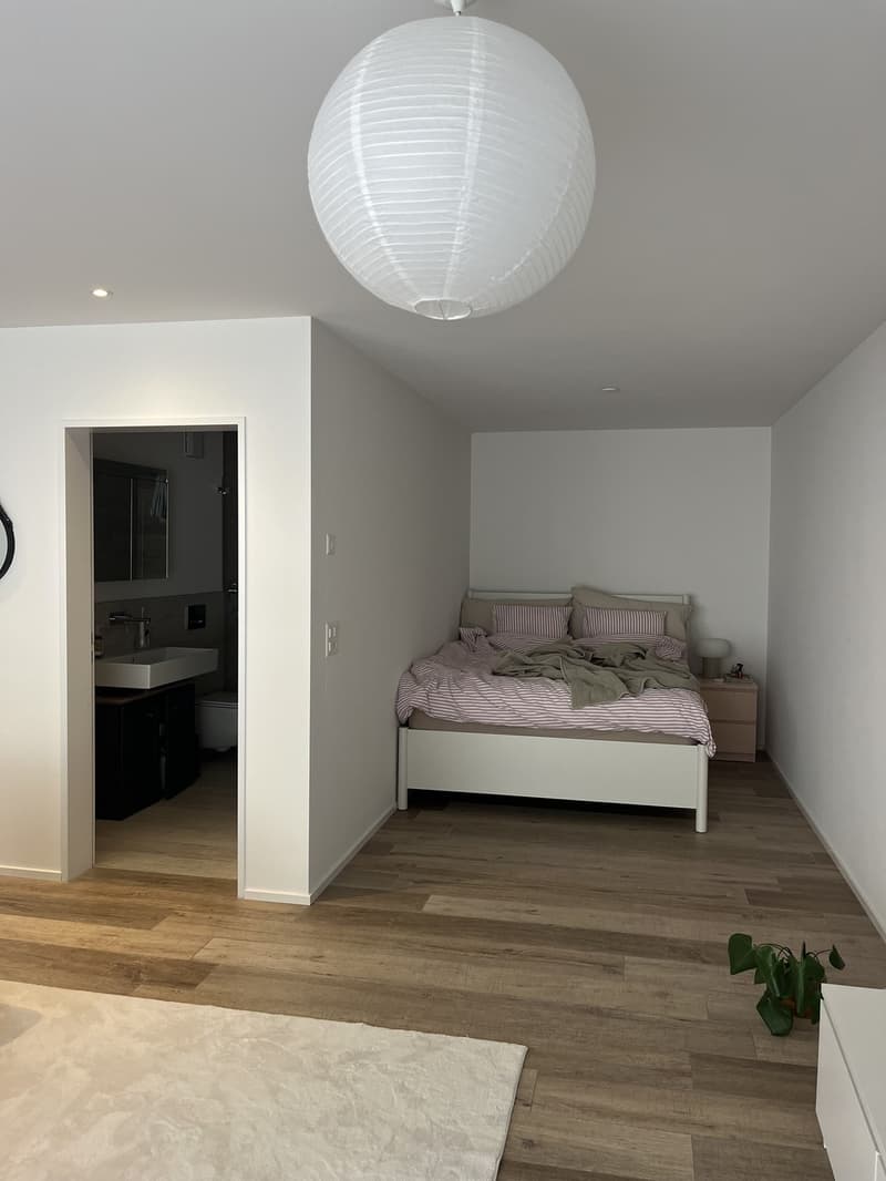 Grosse 1,5 Zimmer Wohnung (6)