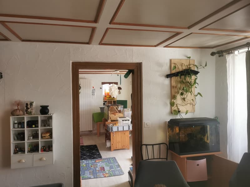 4 Bedroom Apartment, 8966 Oberwil-Lieli (1)