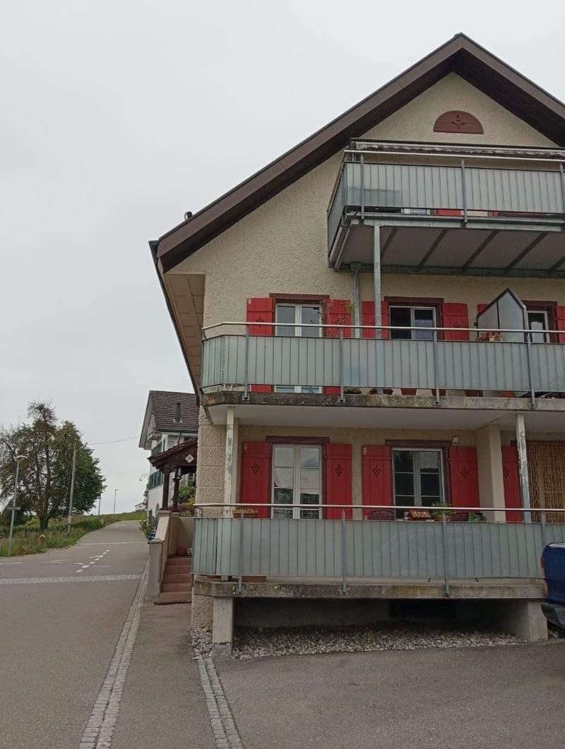 4 Bedroom Apartment, 8966 Oberwil-Lieli (2)
