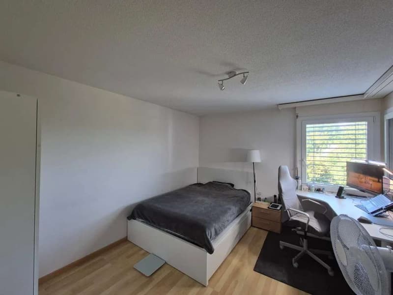 4 ½ locali appartamento, 8600 Dubendorf (5)