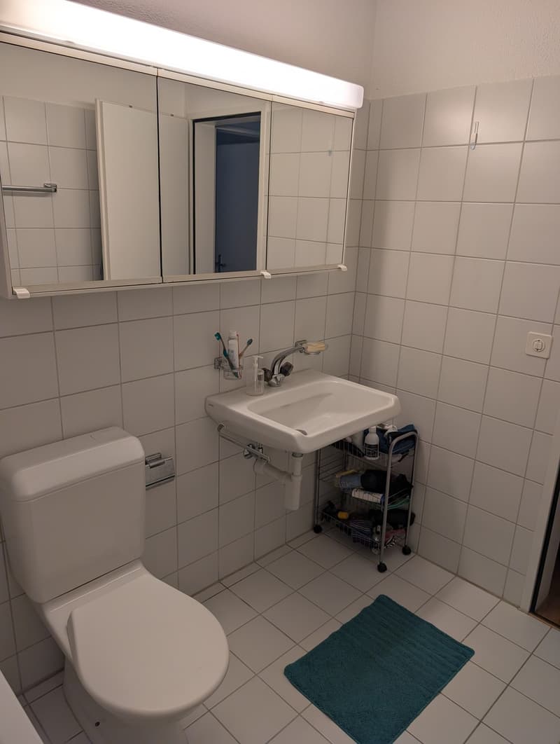 Appartement calme avec terrasse spacieuse (11)