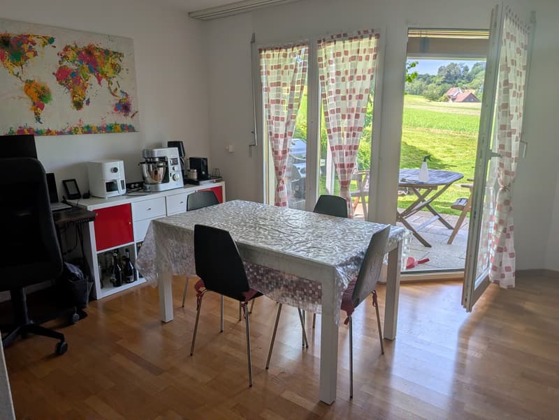 Appartement calme avec terrasse spacieuse (5)