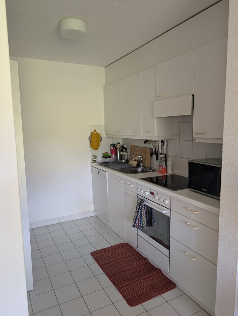 Appartement calme avec terrasse spacieuse (7)