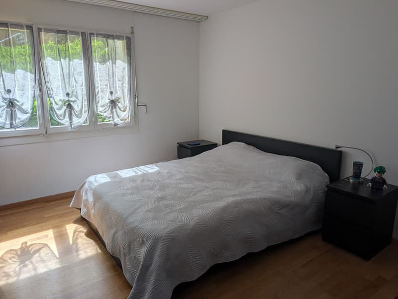 Appartement calme avec terrasse spacieuse (9)