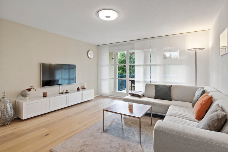 3.5 Room Apartment, 5417 Untersiggenthal (1)
