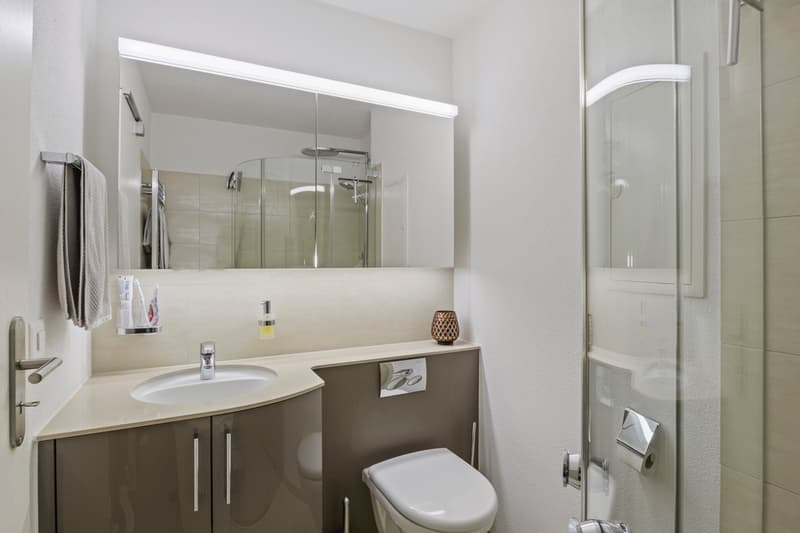 3.5 Room Apartment, 5417 Untersiggenthal (11)