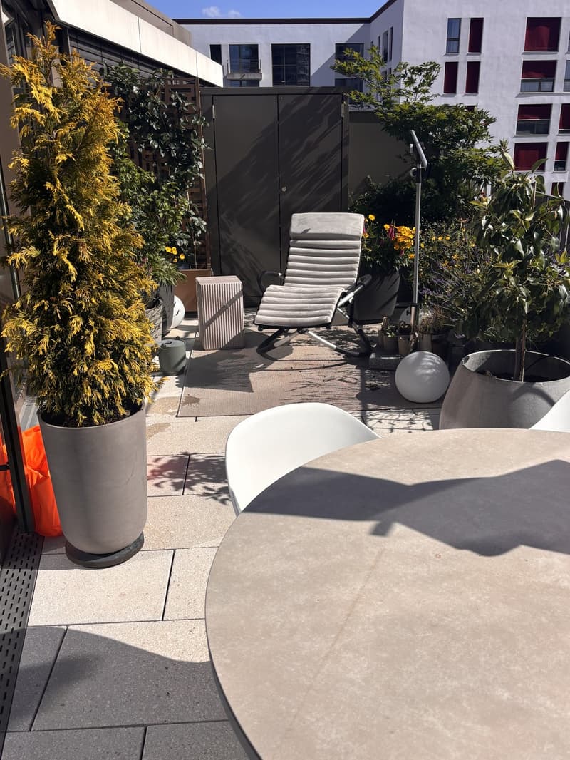 Moderne 2.5-Zimmer-Attikawohnung mit grosser Südwest-Terrasse (3)