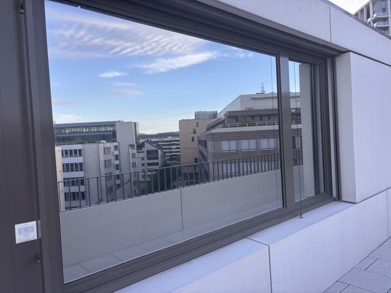 Moderne 2.5-Zimmer-Attikawohnung mit grosser Südwest-Terrasse (9)