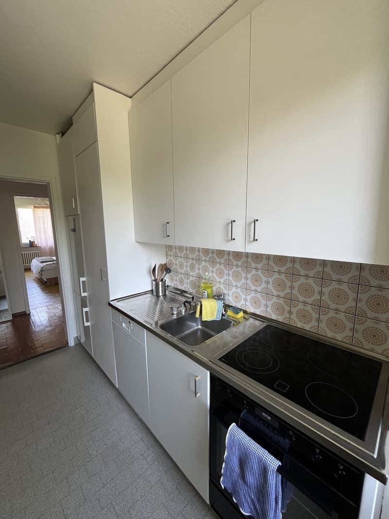 Apartment for sublet in Zurich Zone 110 (6)