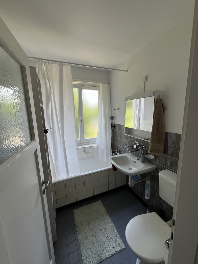 Apartment for sublet in Zurich Zone 110 (4)
