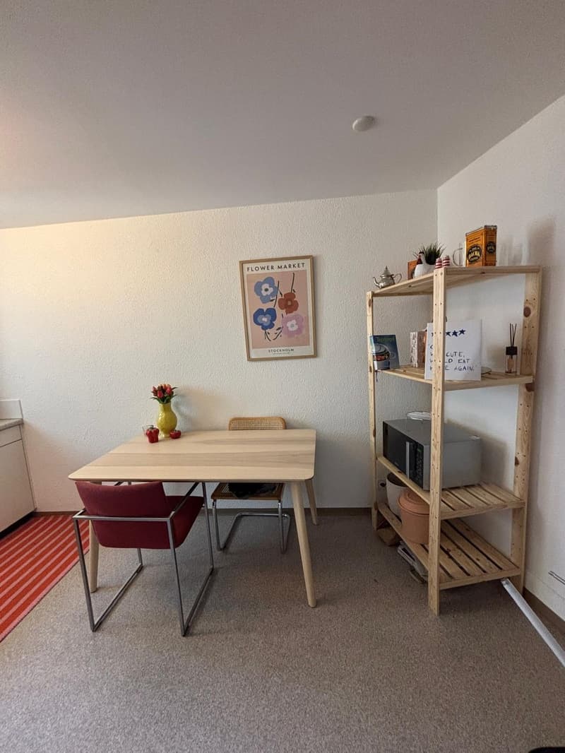 Incantevole appartamento arredato 3.5 locali nel popolare quartiere Hirschmatt/Neustadt (termine limitato) (12)