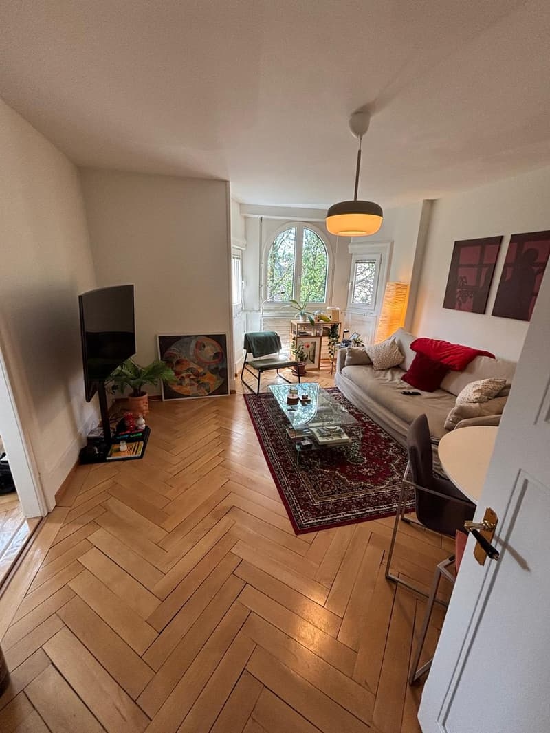 Incantevole appartamento arredato 3.5 locali nel popolare quartiere Hirschmatt/Neustadt (termine limitato) (1)