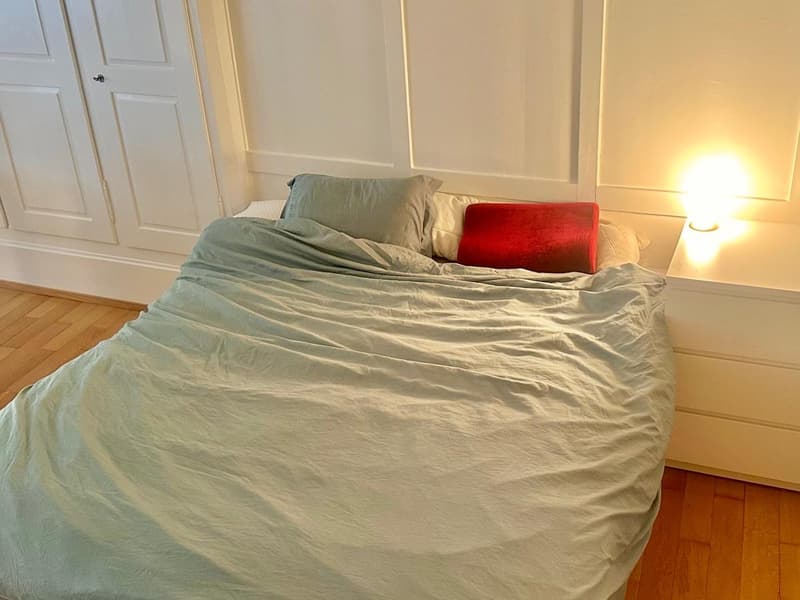 Appartement meublé de 2 pièces charmant au cœur de la vieille ville (3)