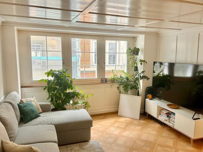Appartement meublé de 2 pièces charmant au cœur de la vieille ville (1)