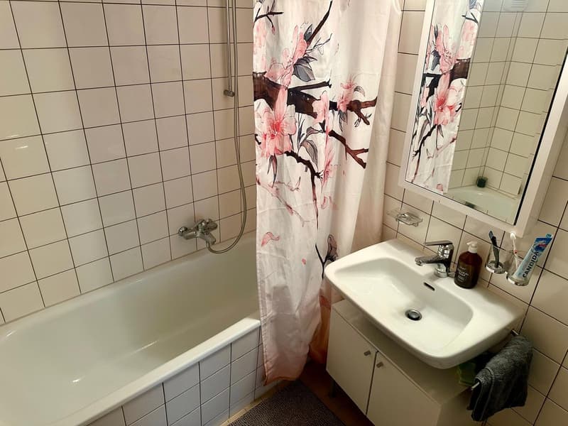 Appartement meublé de 2 pièces charmant au cœur de la vieille ville (5)