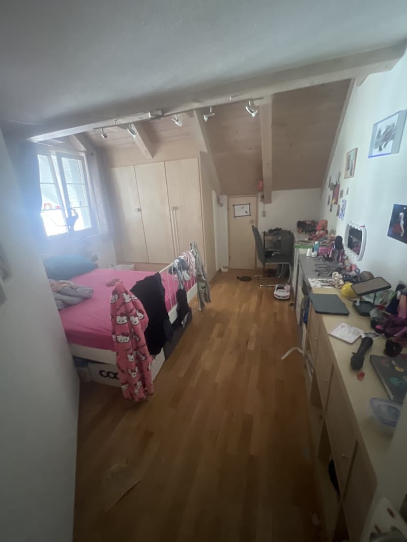 Wunderschöne 5.5 zimmerwohnung mit Chemine und viel Charme (5)