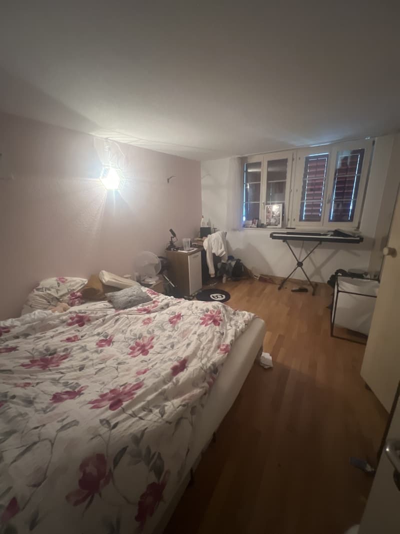 Wunderschöne 5.5 zimmerwohnung mit Chemine und viel Charme (11)