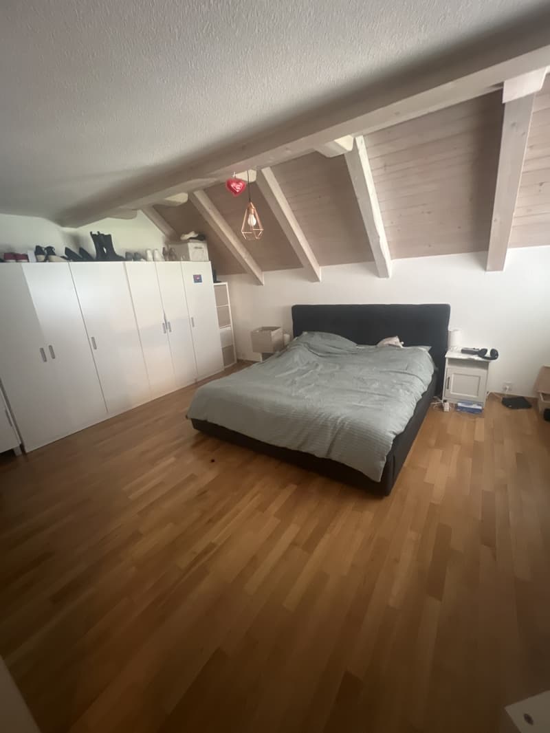Wunderschöne 5.5 zimmerwohnung mit Chemine und viel Charme (10)