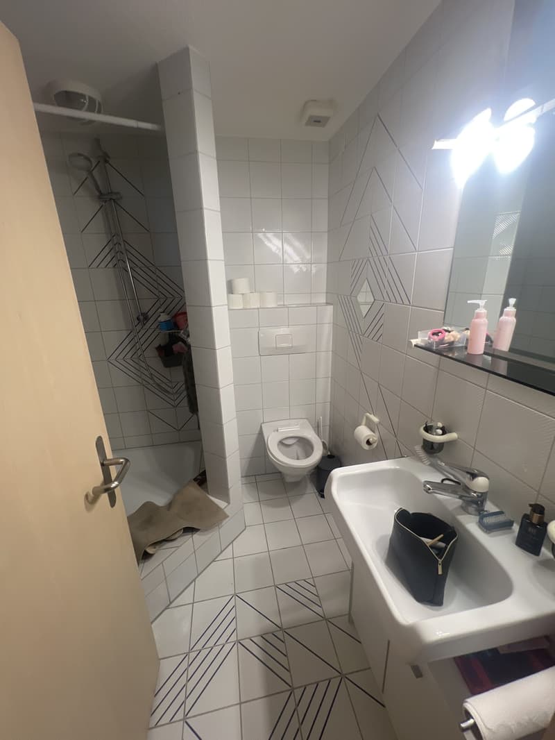 Wunderschöne 5.5 zimmerwohnung mit Chemine und viel Charme (8)