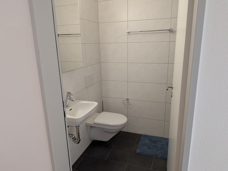 3 ½ Zimmer-Wohnung, 6016 Hellbühl (7)