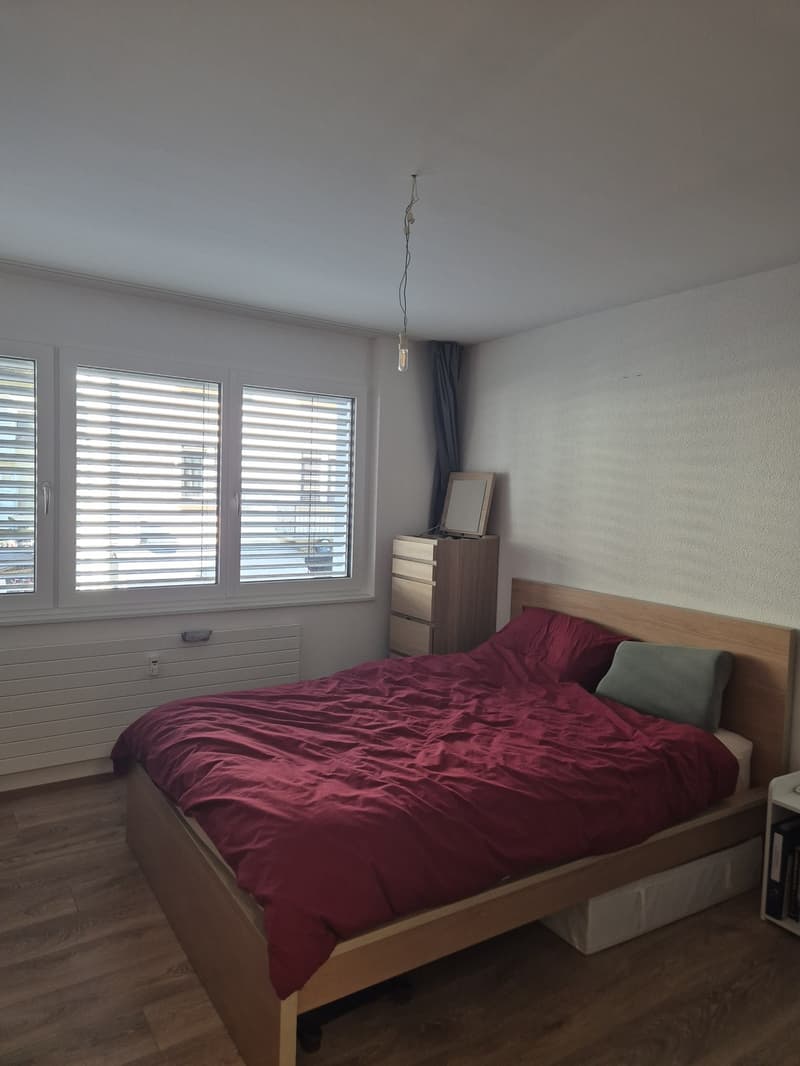 2 room apartment - available short-term (5)