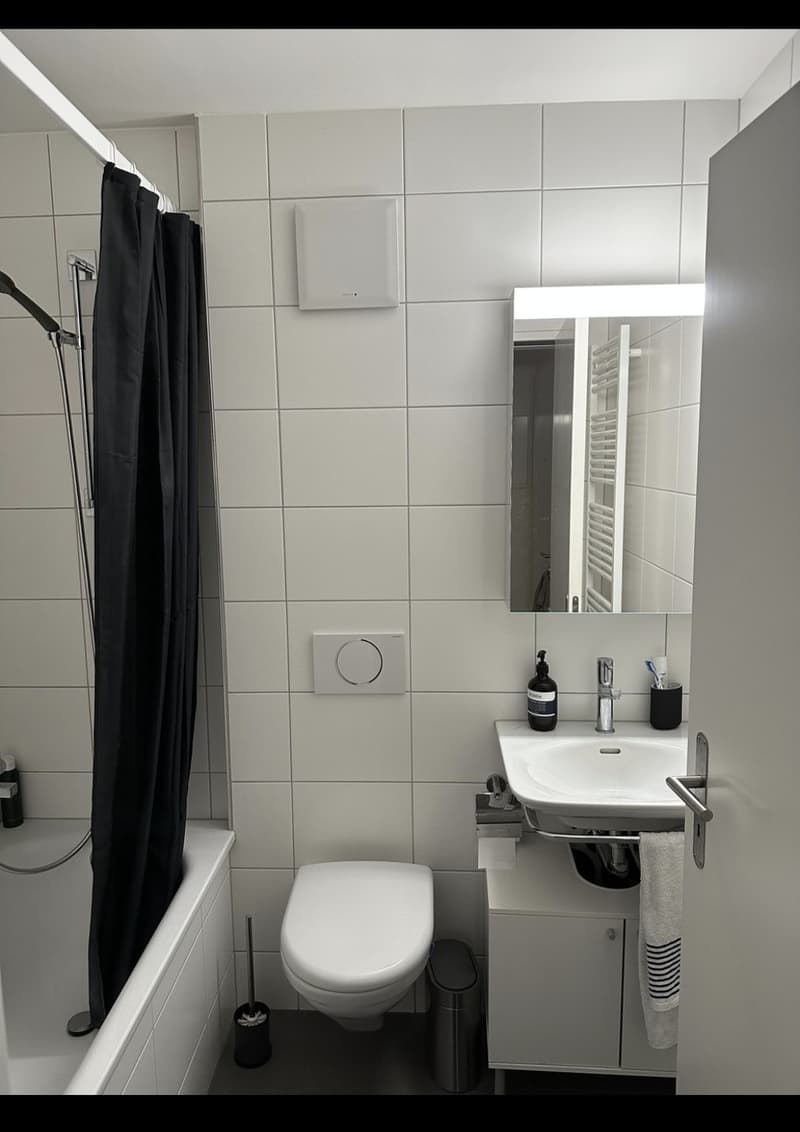 2 room apartment - available short-term (4)