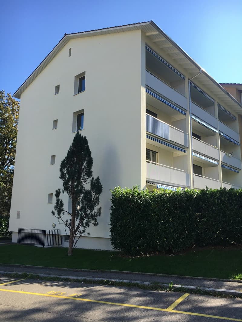 Charmante 2.5-Zimmer Wohnung mit Gartensitzplatz (8)