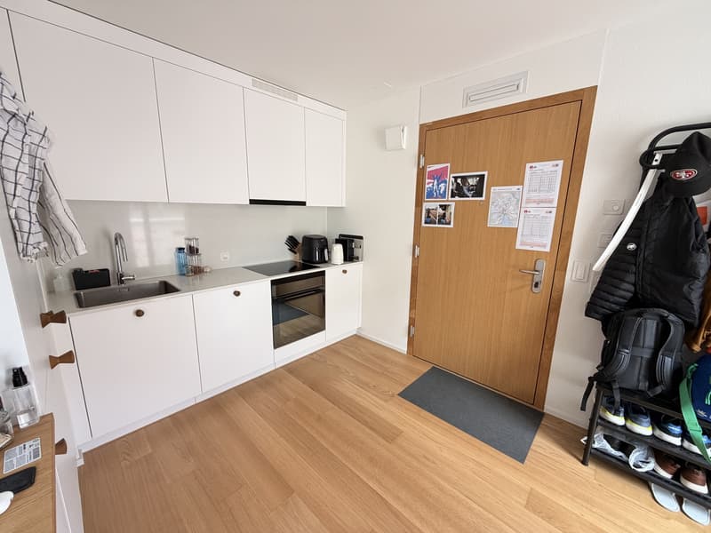 Moderne und helle 1.5 Zimmer Wohung an bester Lage (3)