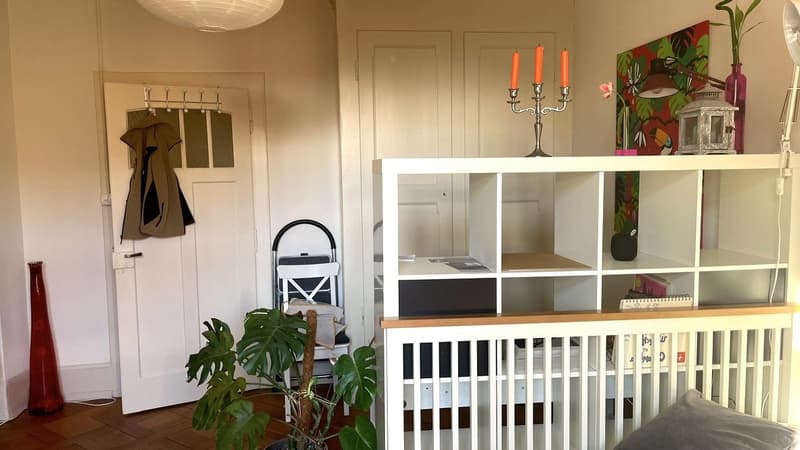 Apartment for rent for 2 years (2)