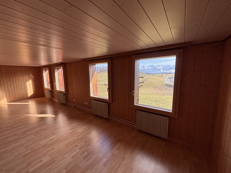 Beautiful 3.5 room attic apartment (6)