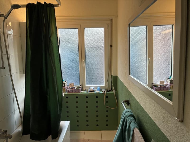 Temporary living at Manesseplatz (6)