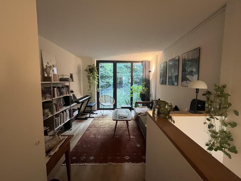 2.5 Zimmer Maisonette-Wohnung (1)