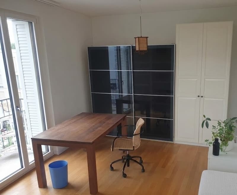 2 pièces dans un grand partage de logement (6)