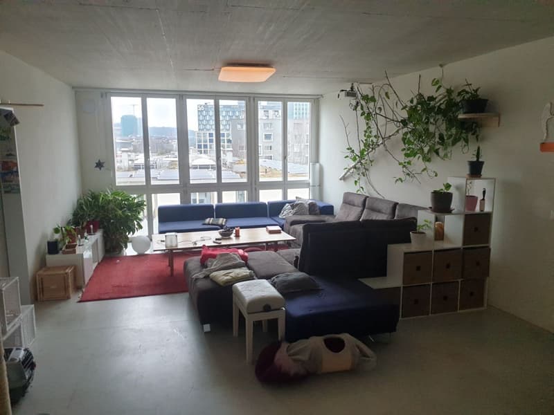 2 pièces dans un grand partage de logement (2)