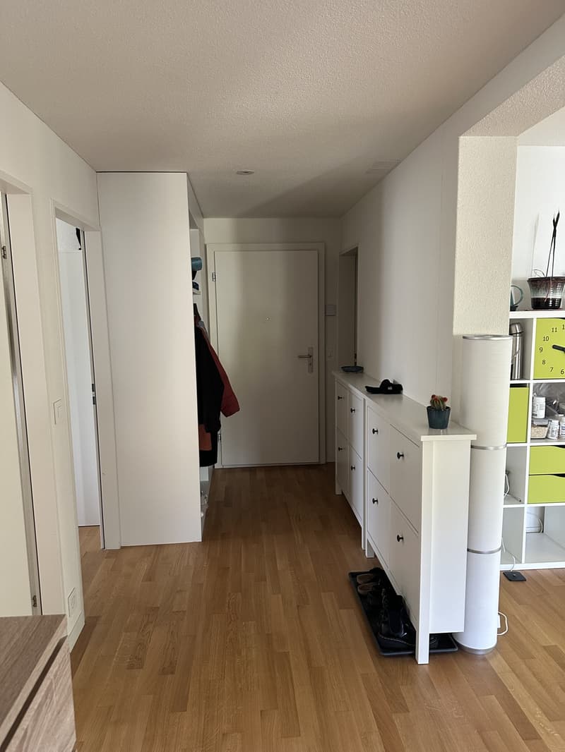 3 ½ rooms apartment, 8152 Glattpark (Opfikon) (6)