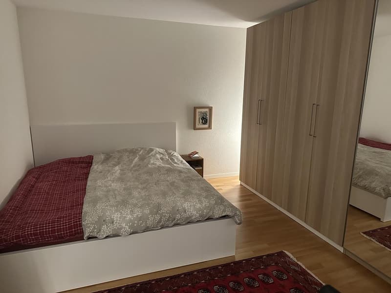 3 ½ rooms apartment, 8152 Glattpark (Opfikon) (3)