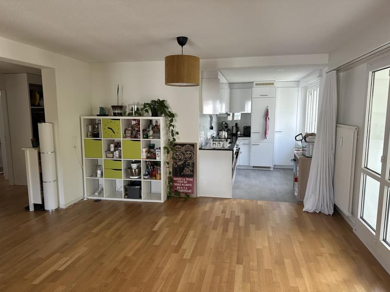 3 ½ rooms apartment, 8152 Glattpark (Opfikon) (1)