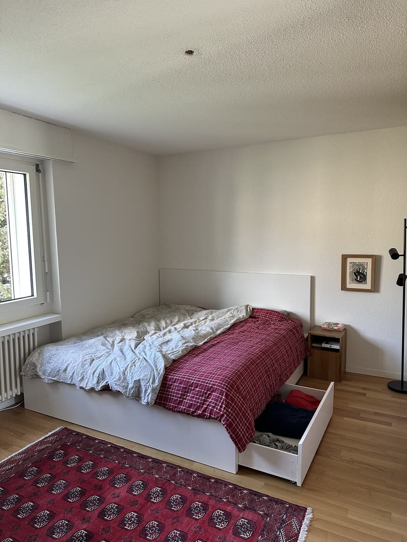 3 ½ rooms apartment, 8152 Glattpark (Opfikon) (8)