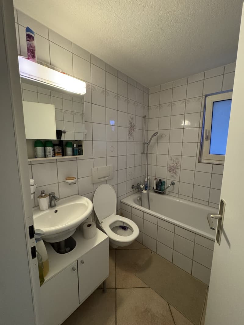 Appartement 2.5 pièces (5)