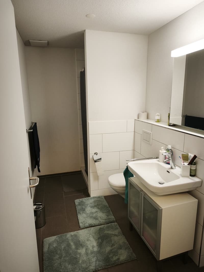 Appartamento moderno 2.5 locali in una zona tranquilla & collegamento di prima classe (4)