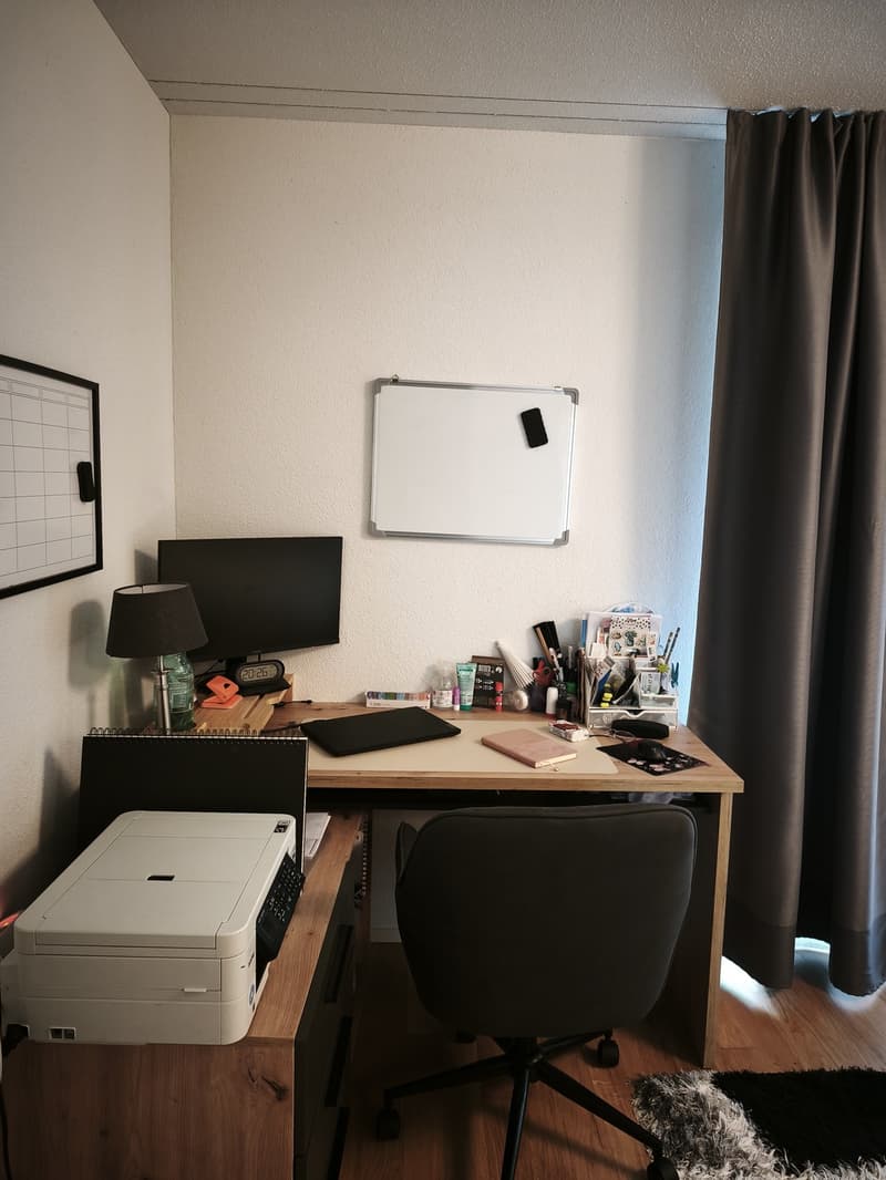 Appartamento moderno 2.5 locali in una zona tranquilla & collegamento di prima classe (5)