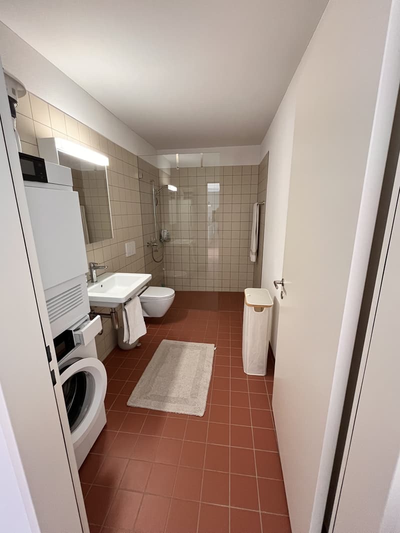 2 ½ pièces appartement, 8406 Winterthur (6)