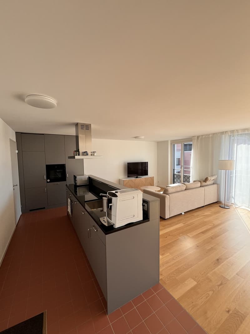 2 ½ pièces appartement, 8406 Winterthur (3)