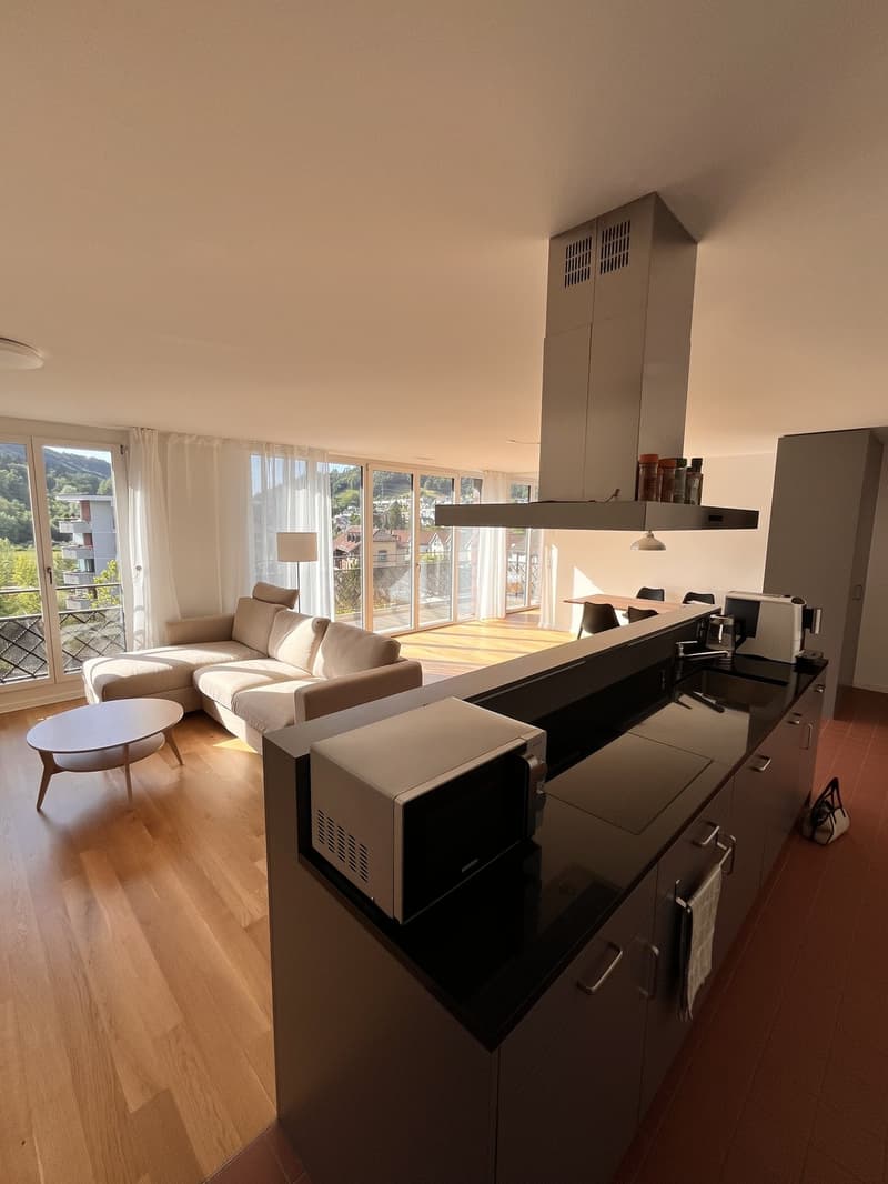 2 ½ pièces appartement, 8406 Winterthur (1)